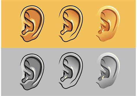 Human Ear Vectors - Download Free Vector Art, Stock Graphics & Images