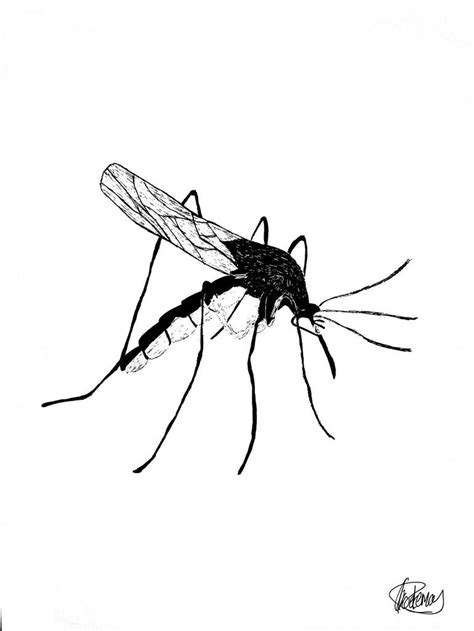 The Mosquito Drawing by Christelle Koekemoer | Saatchi Art