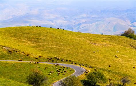 Heavenly Mountain(Tian Shan), Xinjiang Tianshan Mountain