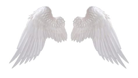 Wings PNG Transparent Images