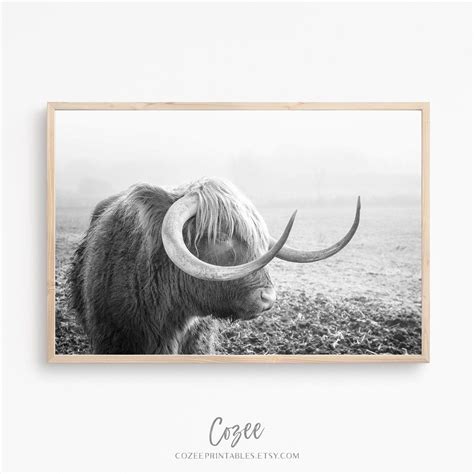 Longhorn Cattle Wall Art Printable Wall Art Photography | Etsy ...