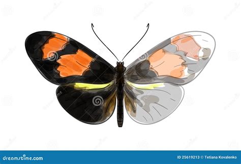 Butterfly Heliconius. stock illustration. Illustration of iridescent ...