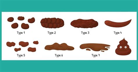 Identifying Types Of Poop With The Bristol Stool Chart And, 56% OFF