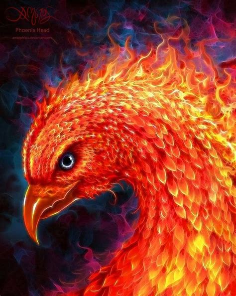 Phoenix Head Picture by Christos Karapanos amorphisss | Phönix bilder ...