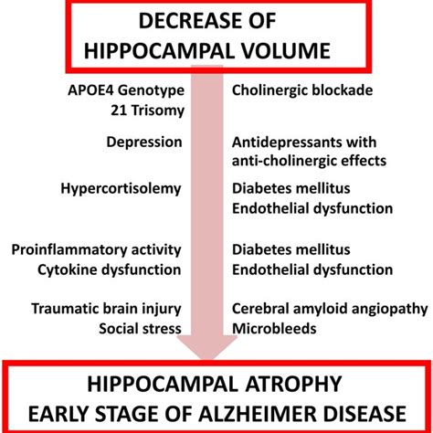 Hippocampal atrophy in a patient with mild cognitive impairment (MCI ...