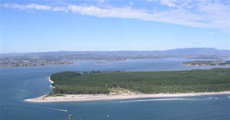 Matakana Island | Bay of Plenty, New Zealand