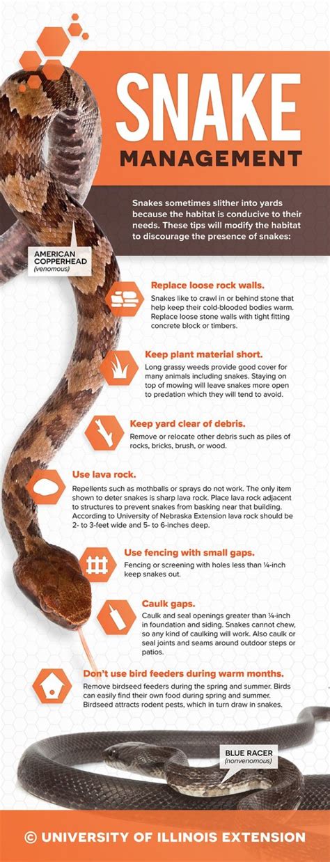 Management : Snake Management Tips - How to keep snakes out of your ...