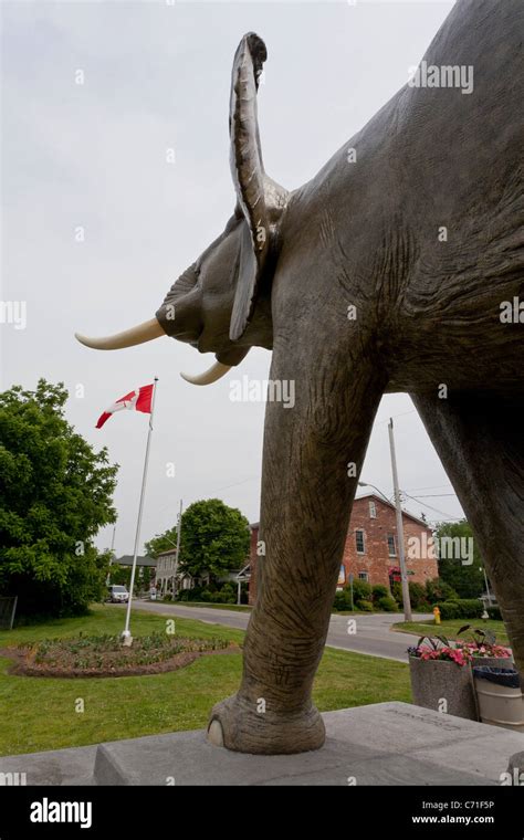 Statue of Jumbo the Elephant with Canadian Flag. A life-sized statue of ...