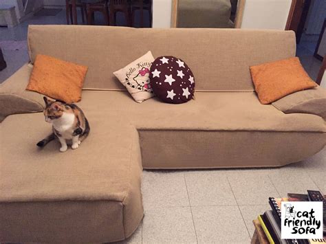 15 Best Cat Proof Sofas