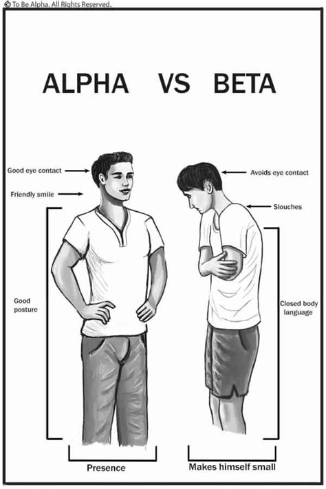 Alpha vs Beta social classes | Alpha male quotes, Alpha male ...