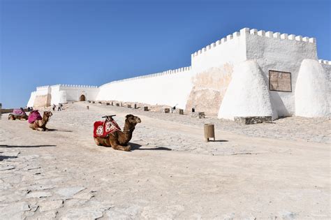 Mise en Patrimoine de la Kasbah d'Agadir Oufella - Découvrez l'Histoire ...