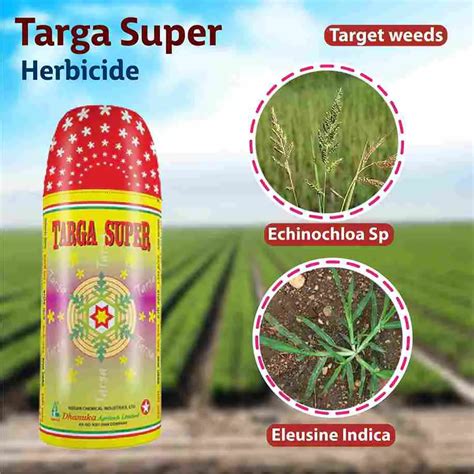 Understanding Herbicides: Types, Modes of Action and Uses - TheOmniBuzz