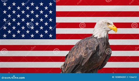 American Flag, Bald Eagle, National Symbols Of USA Stock Image ...