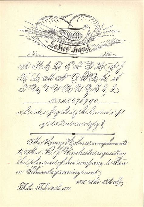 Spencerian Calligraphy — LAURA LAVENDER CALLIGRAPHY, ILLUSTRATION & DESIGN