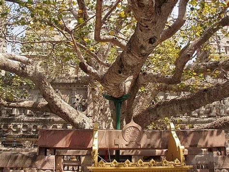 Mahabodhi Temple (Bodh Gaya) Historical Facts and Pictures | The ...