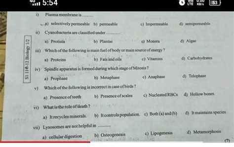 Spindle apparatus is formed during which stage of Mitosis? | Filo