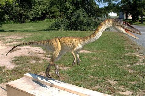 Coelophysis Pictures & Facts - The Dinosaur Database