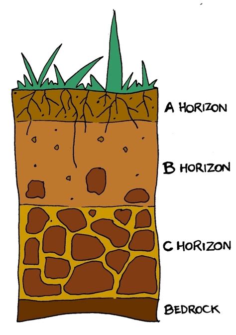 soil layers clipart no watermarks 20 free Cliparts | Download images on ...