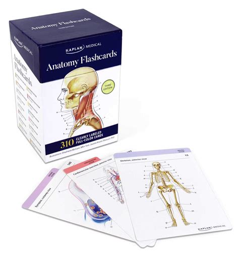 Anatomy Flashcards