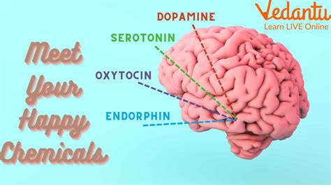 List of Hormones responsible for Happiness