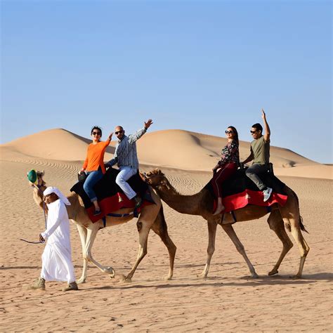 Camel Trekking in Dubai, Abu Dhabi | Camel Ride | Arabian Adventures