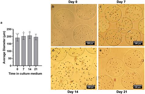 Produced spherical alginate microcapsules a Average alginate ...