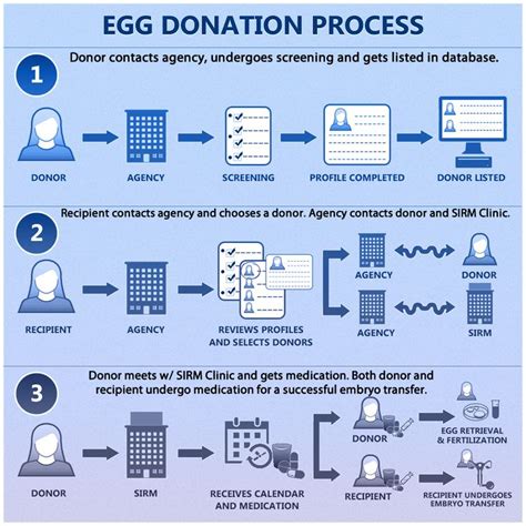 The Egg Donation Process | Eden Community - Donoship IVF & Surrogacy