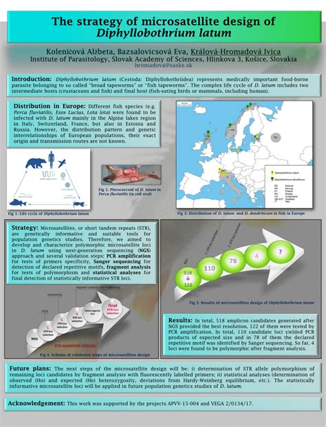(PDF) The strategy of microsatellite design of Diphyllobothrium latum