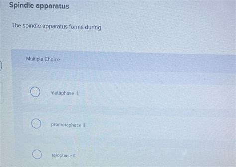 Solved Spindle apparatus The spindle apparatus forms during | Chegg.com