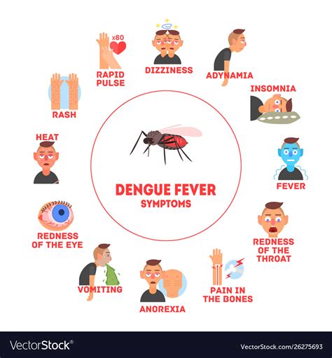 Dengue fever symptoms information banner template Vector Image