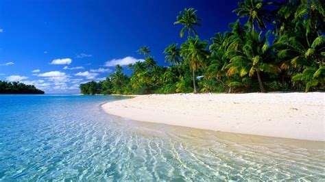 maldives-beaches - True Blue Travel