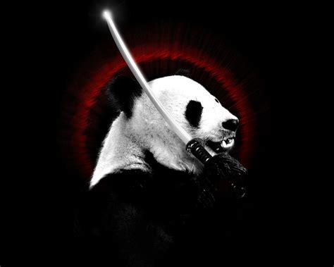 Panda Wallpaper - WallpaperSafari