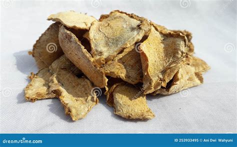 Temulawak in Indonesian or Curcuma in English Stock Image - Image of ...