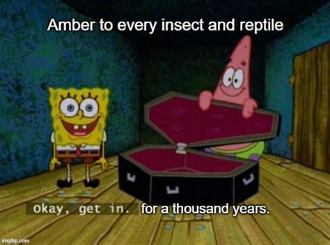 Spongebob Coffin Memes - Imgflip