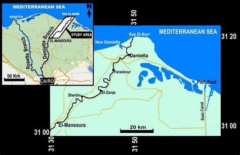 Location map of the examined sector of the Damietta Distributary along ...