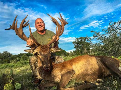 Red Stag Hunting | 18,000 Acres in Texas | 60+ Species | Ox Ranch