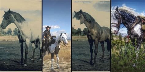 Buckskin Mustang Rdr2 Online : American Standardbred Rdr 2 Red Dead ...