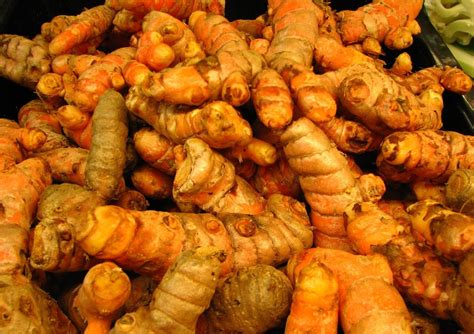 The Indigenous Herb of India: Turmeric (Curcuma longa) |The Healing ...