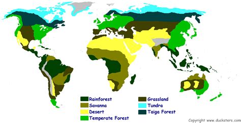 THE TUNDRA - biome map