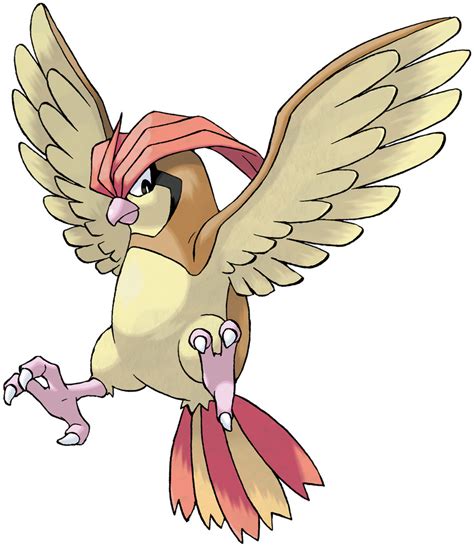 Pidgeotto Pokédex: stats, moves, evolution & locations | Pokémon Database