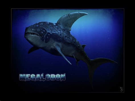 Megalodon Digital Art by Paul Gioacchini - Fine Art America