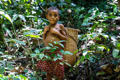 Mbuti: Congo’s Last Forest Pygmies Persist Despite Violence and Loss ...