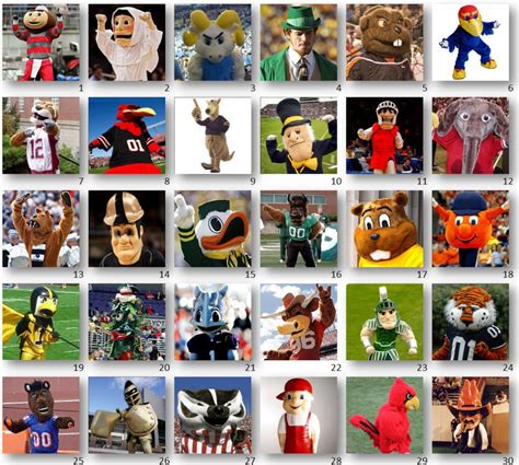 College by Mascot (Picture Quiz) | Mascot, College football teams, Team ...