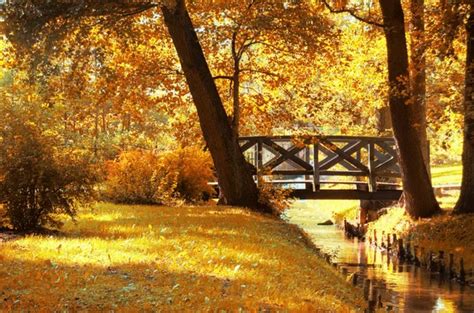 piloto Desnudarse capturar paisajes en otoño reales Alfombra Vinagre ...