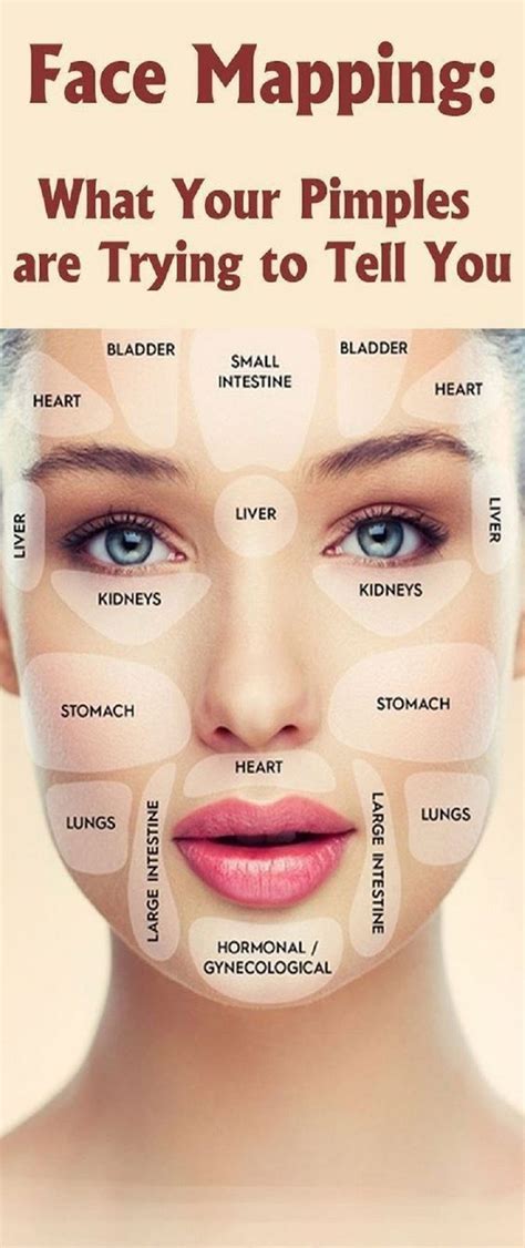 FACE MAPPING: WHAT YOUR PIMPLES ARE TRYING TO TELL YOU | Face mapping ...