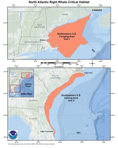 North Atlantic Right Whale Critical Habitat Map and GIS Data | NOAA ...