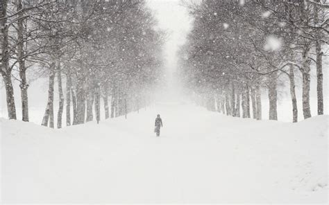 Snow Blizzard Wallpaper - WallpaperSafari