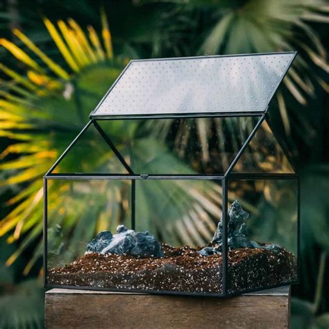 kohút extrémisti bojovník diy terrarium for snail zvyšky tisíc dostatočný