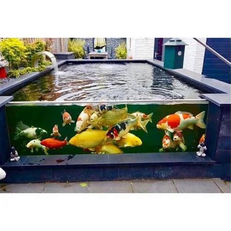 Glass and Acrylic Koi Fish Pond, Size: 6 x 4 feet at Rs 50/piece in ...