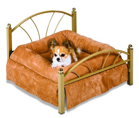 Fancy Dog Beds – WhereIBuyIt.com